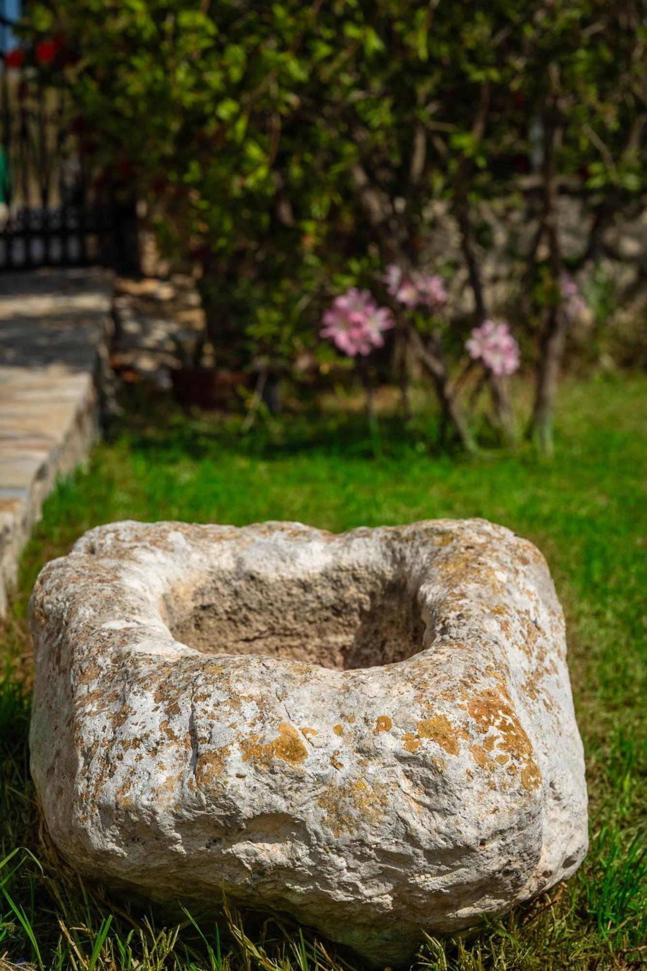 Villa Dionysios Keri Zewnętrze zdjęcie