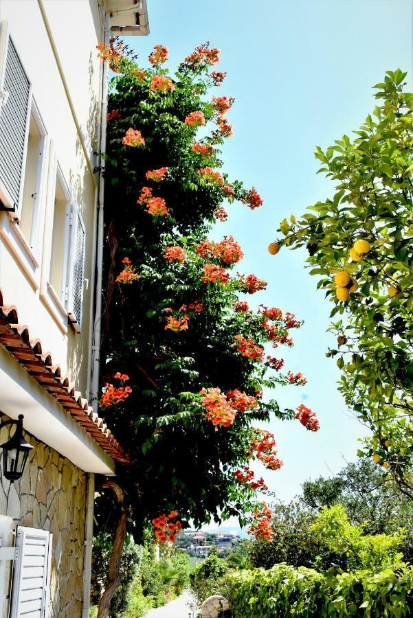Villa Dionysios Keri Zewnętrze zdjęcie